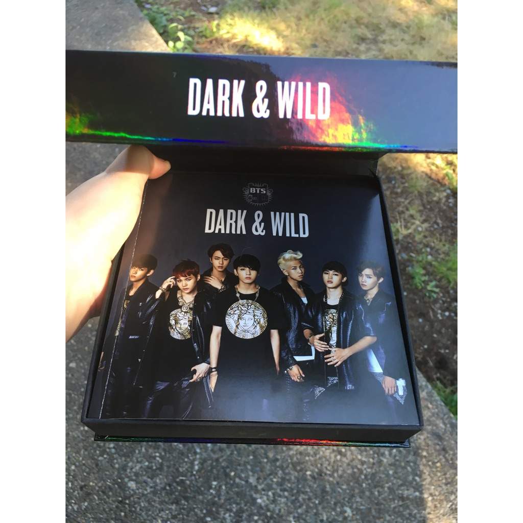 Album BTS - DARK & WILD