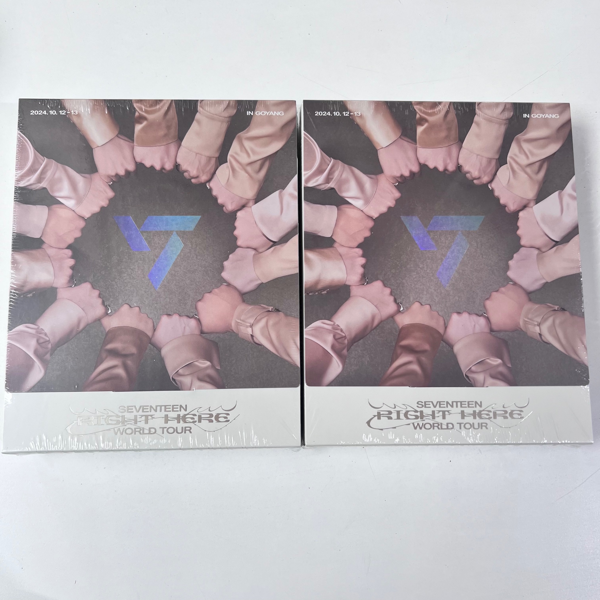 SEVENTEEN WORLD TOUR [RIGHT HERE]