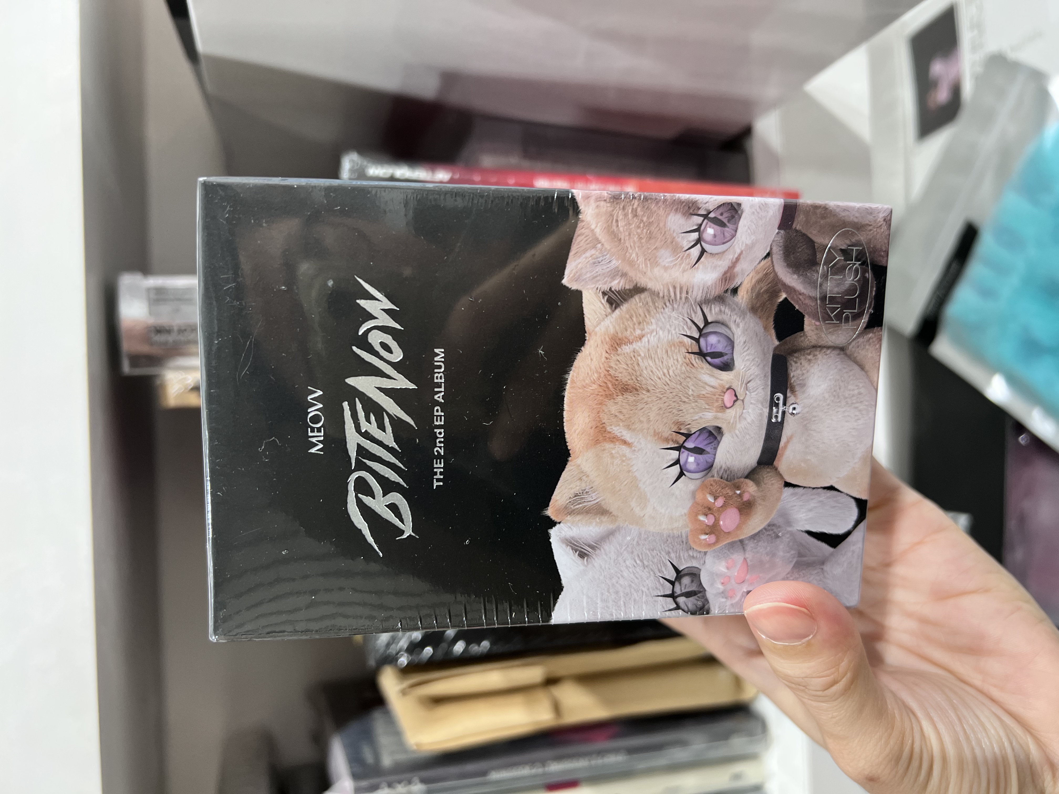 ALBUM MEOVV [BITE NOW] KITTY PLUSH ver.