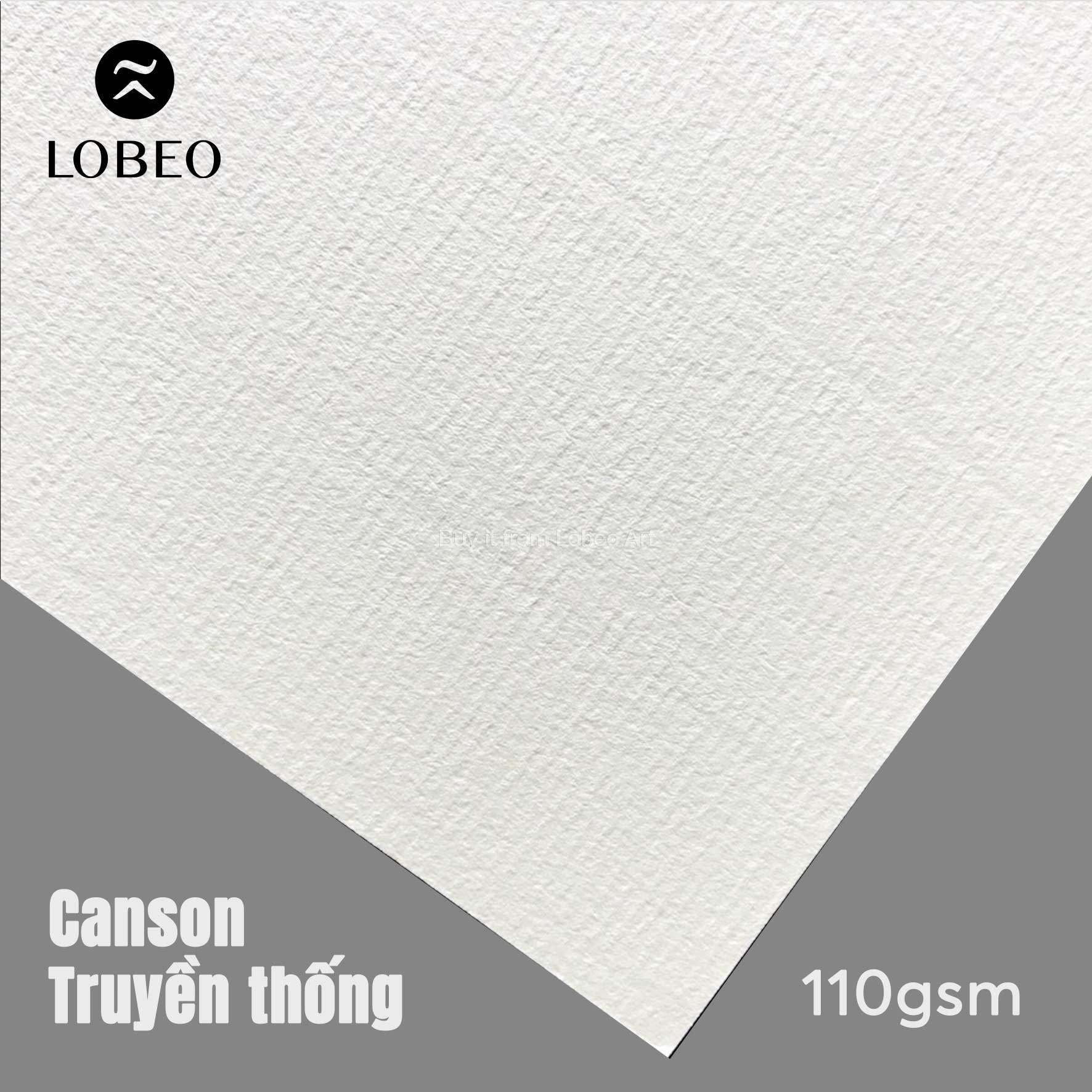 Giấy vẽ chì Canson Truyền Thống 110gsm 10 tờ