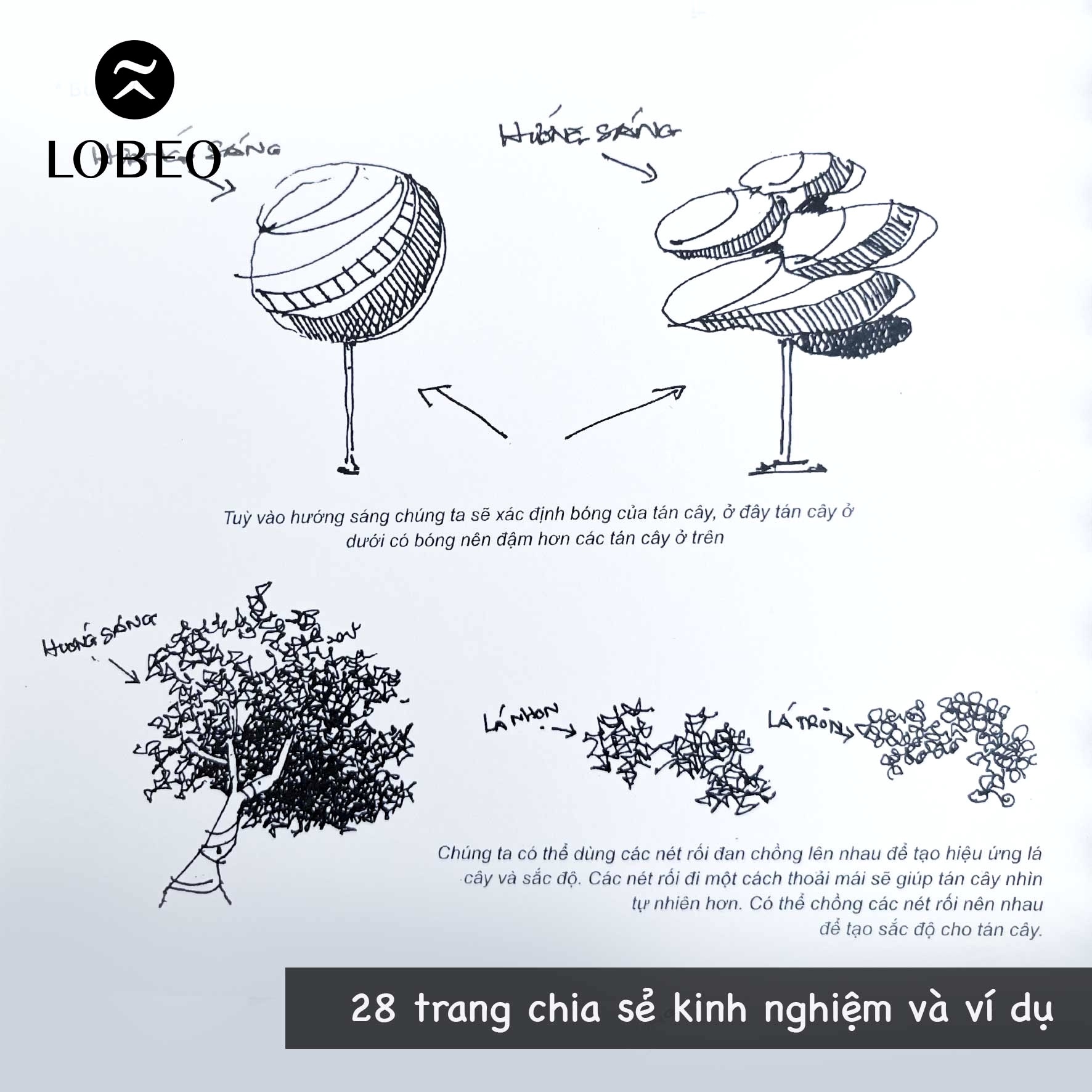 Sổ Luyện Vẽ Ký Hoạ Nguyễn Ngọc x Lobeo Art Ver.2