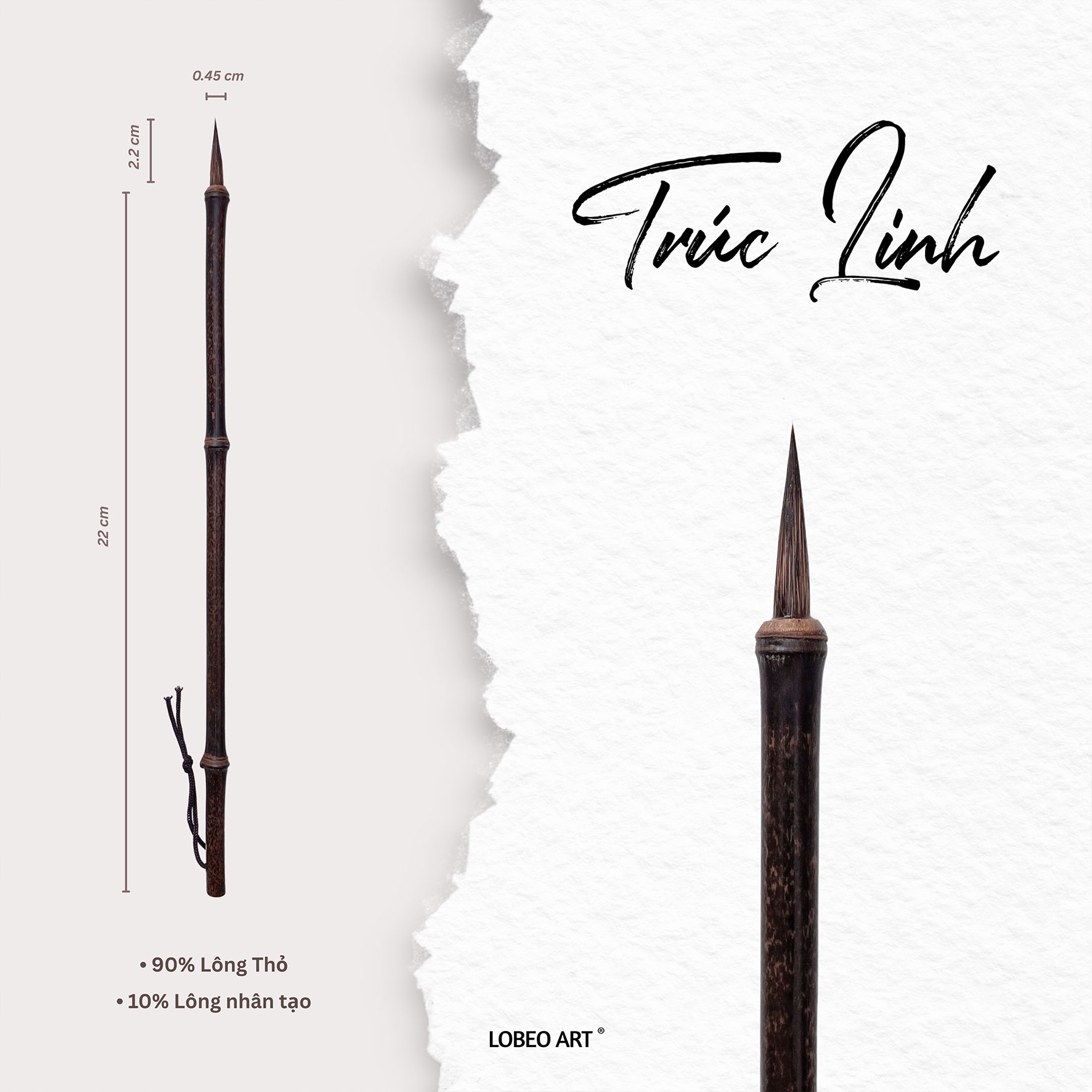 Cọ thư pháp Lobeo - Trúc Linh