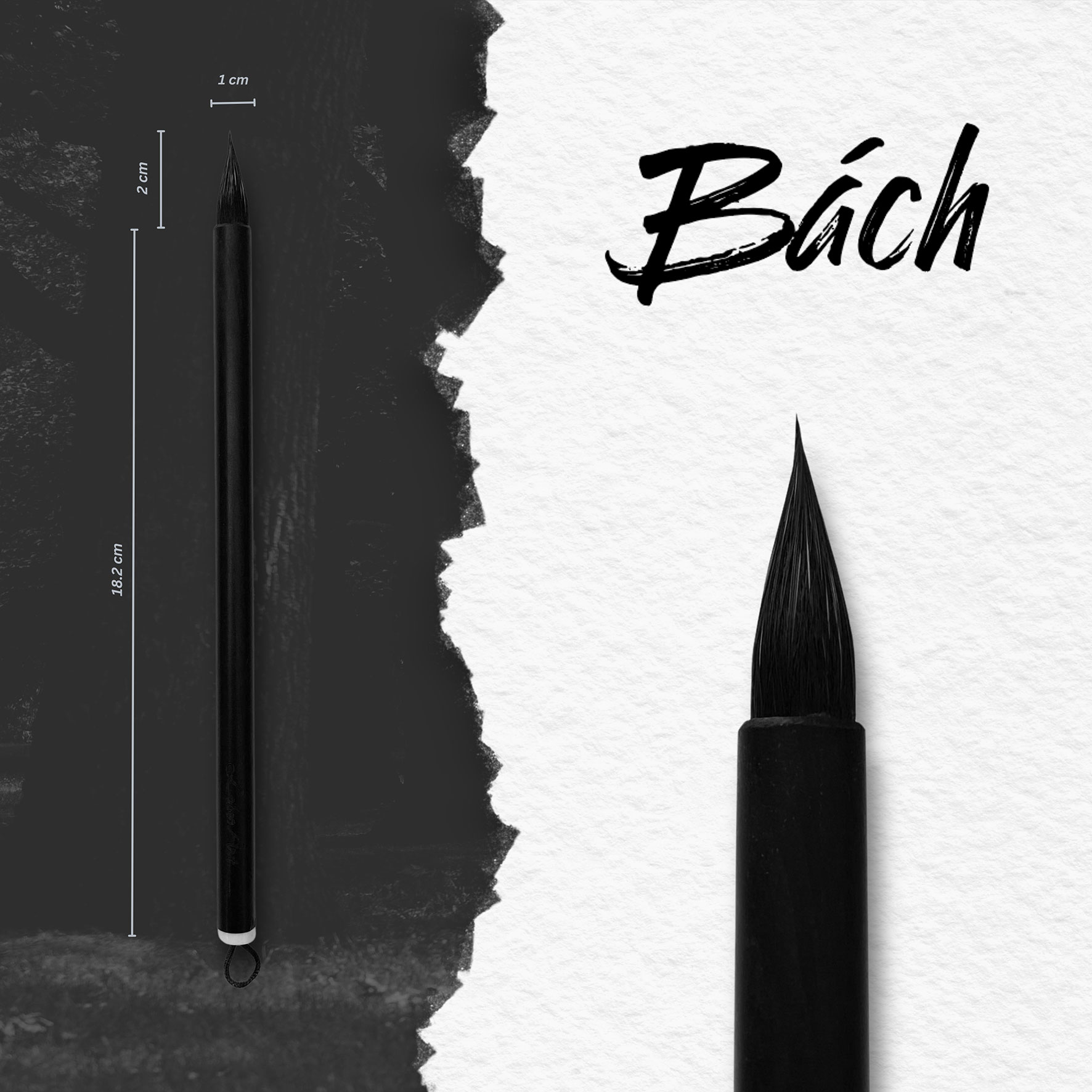 Cọ vẽ thư pháp Lobeo - Bách