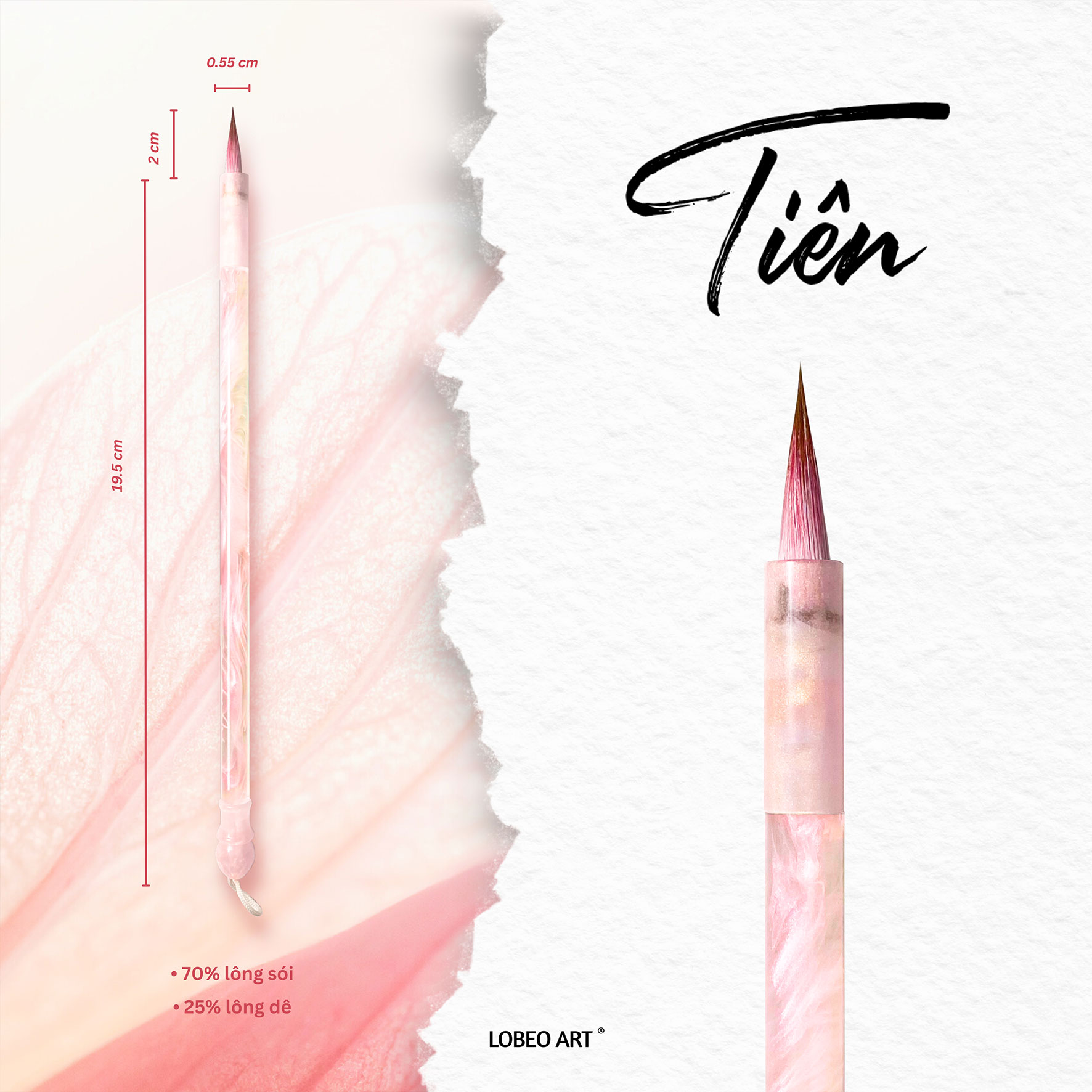 Cọ vẽ thư pháp Lobeo - Tiên