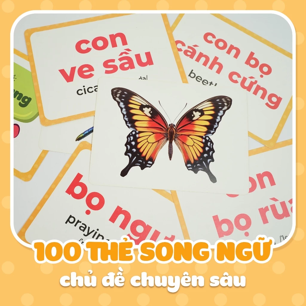 Bộ thẻ học thông minh LalaLingo