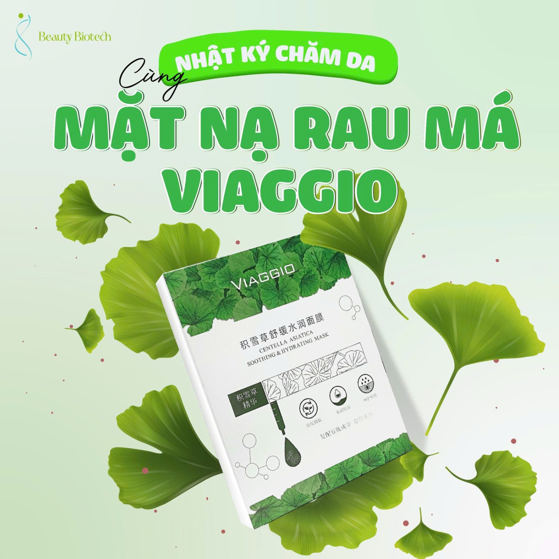 Nhật Ký 7 Ngày Chăm Da Với Mặt Nạ Rau Má Viaggio – Bí Quyết Phục Hồi Chuẩn Spa Tại Nhà