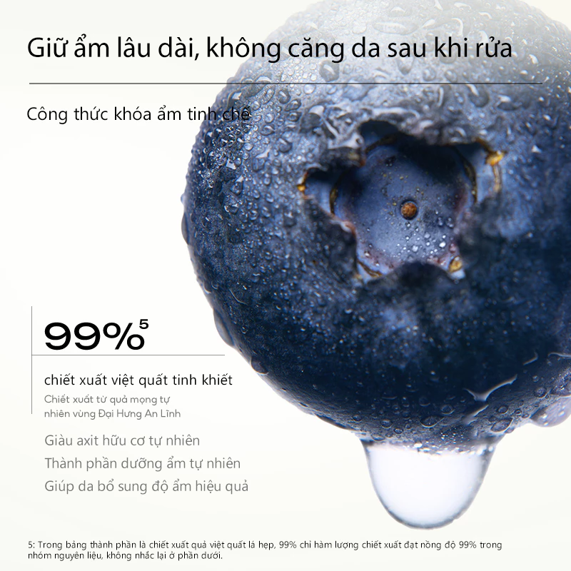 Sữa Rửa Mặt Dịu Nhẹ Làm Sạch Sâu HAPSODE PURIFYING GENTLE CLOUD FACIAL CLEANSER
