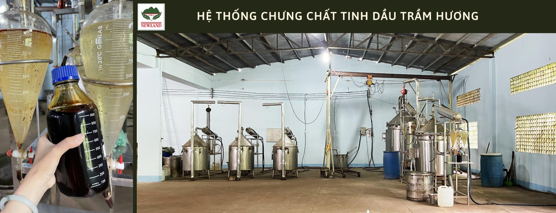 Ảnh trang chủ 4