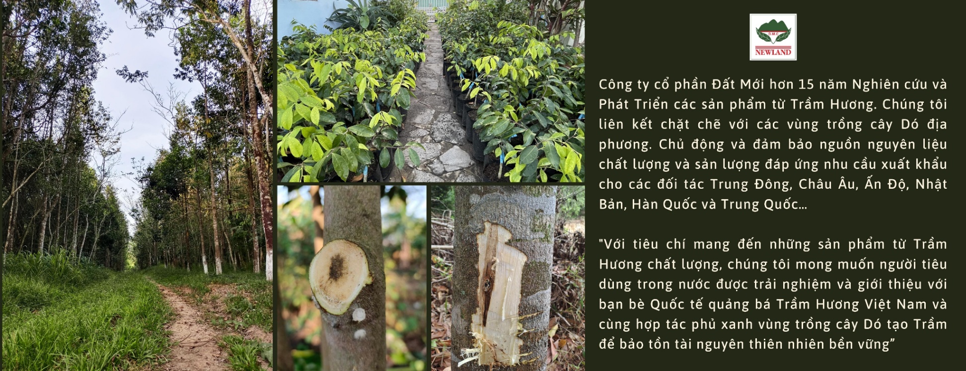 Ảnh trang chủ 3