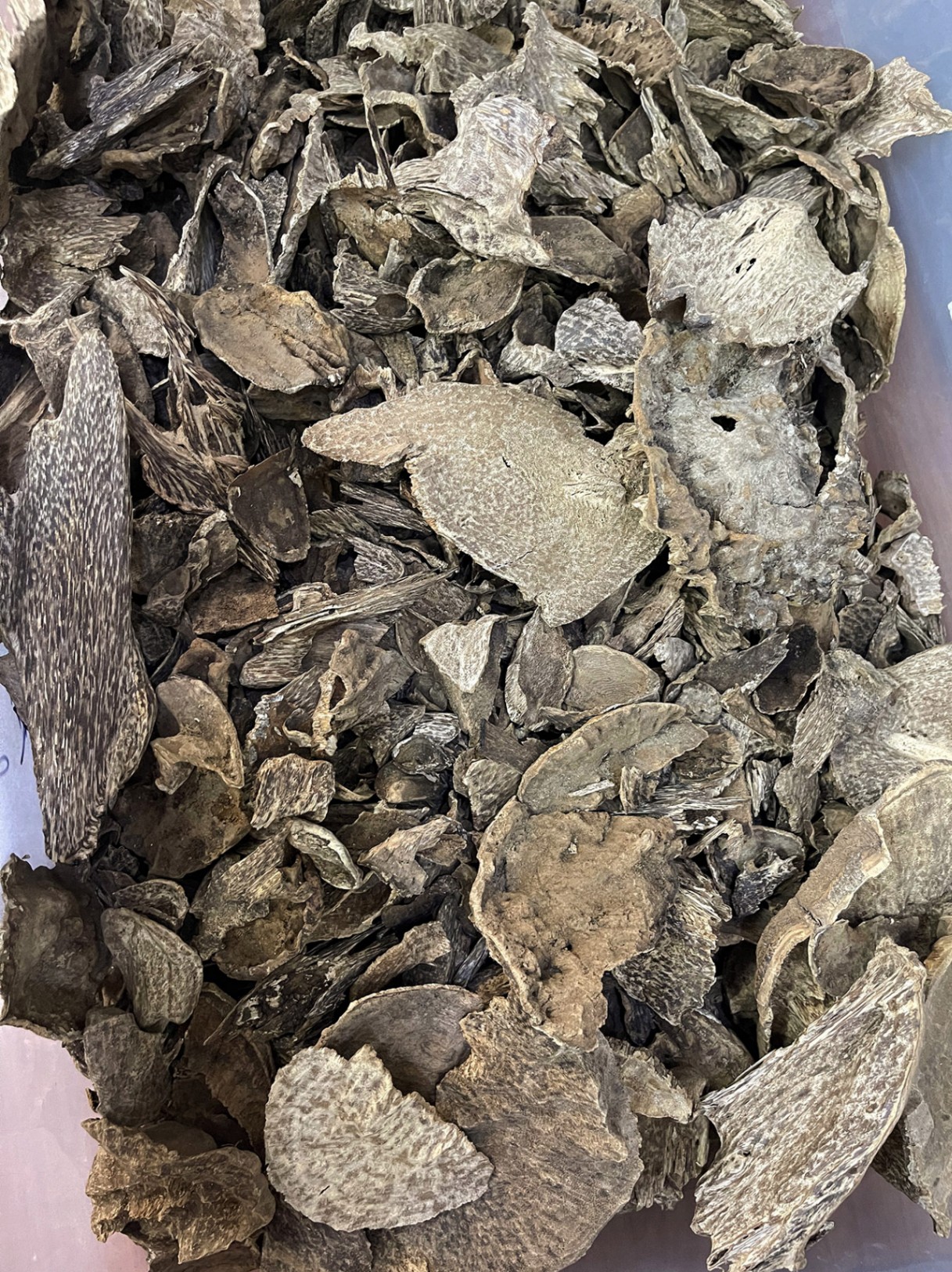 SUPER WILD AGARWOOD OUD CHUNKS