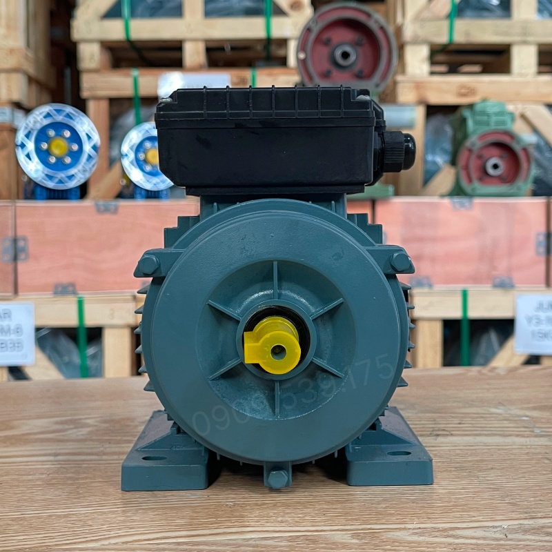 dong-co-dien-1-pha-0-18kw-0-25hp.jpg