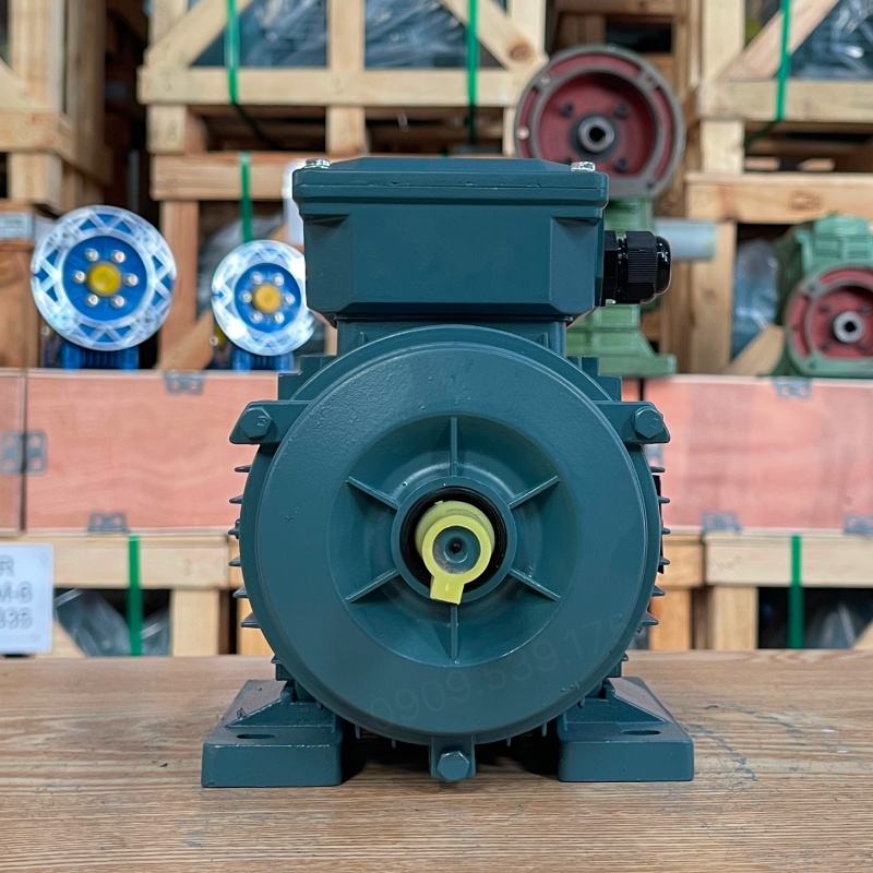 dong-co-dien-3-pha-0-37kw-0-5hp.jpg