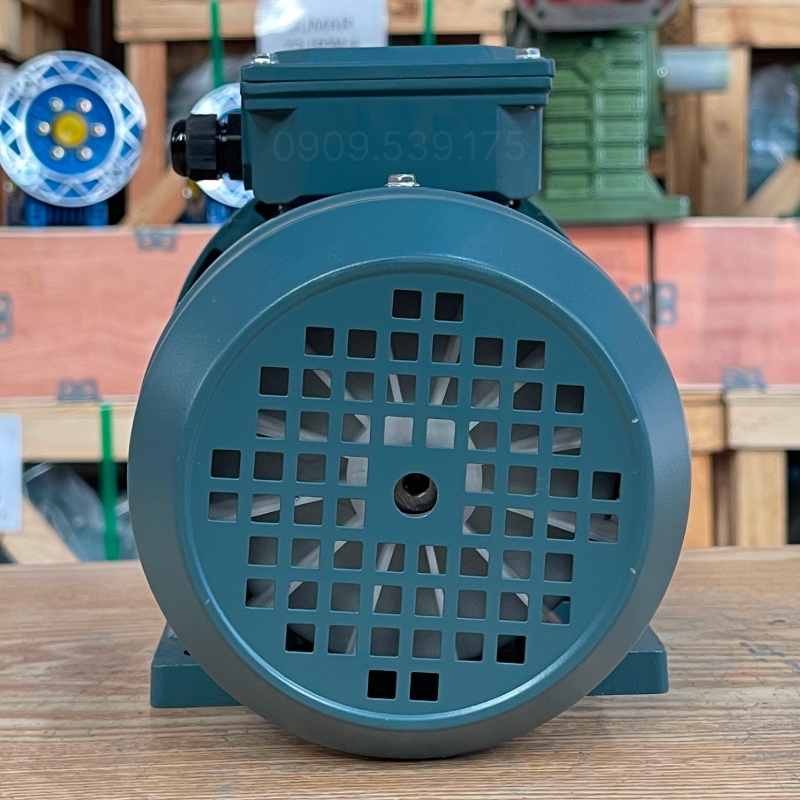dong-co-dien-3-pha-0-25kw-0-34hp-1.jpg