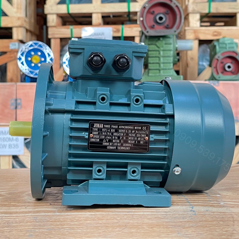 dong-co-dien-3-pha-0-25kw-0-34hp-1.jpg