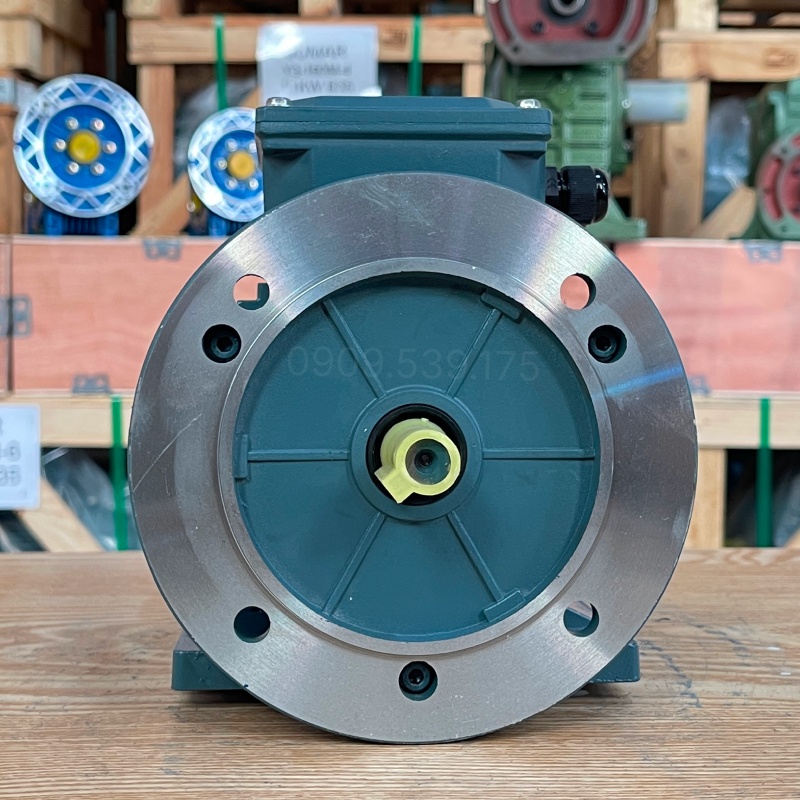 dong-co-dien-3-pha-0-25kw-0-34hp-1.jpg