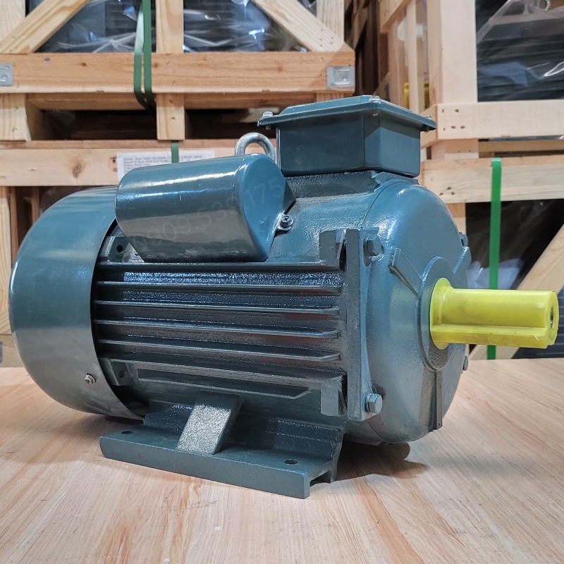 dong-co-dien-1-pha-3-7kw-5hp-1.jpg