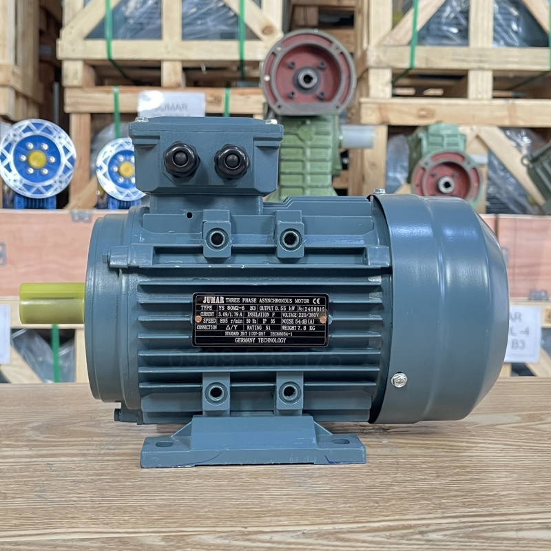 dong-co-dien-3-pha-0-55kw-0-75hp.jpg