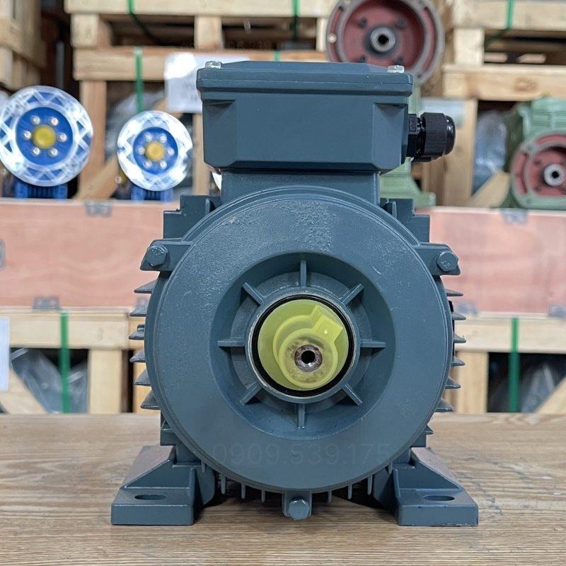 dong-co-dien-3-pha-0-55kw-0-75hp.jpg