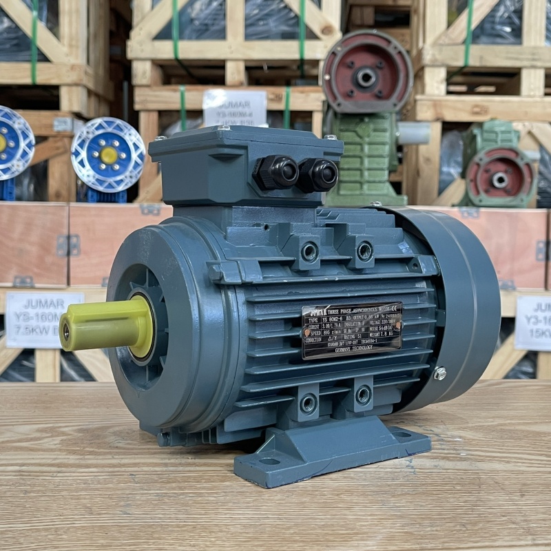dong-co-dien-3-pha-0-55kw-0-75hp.jpg