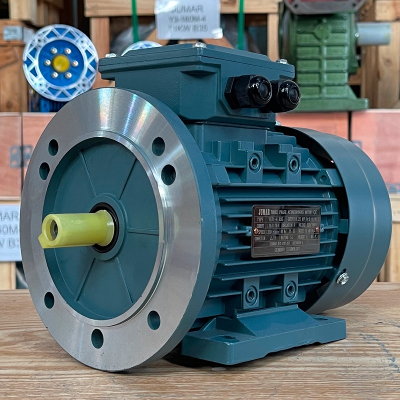 dong-co-dien-3-pha-0-25kw-0-34hp-1.jpg