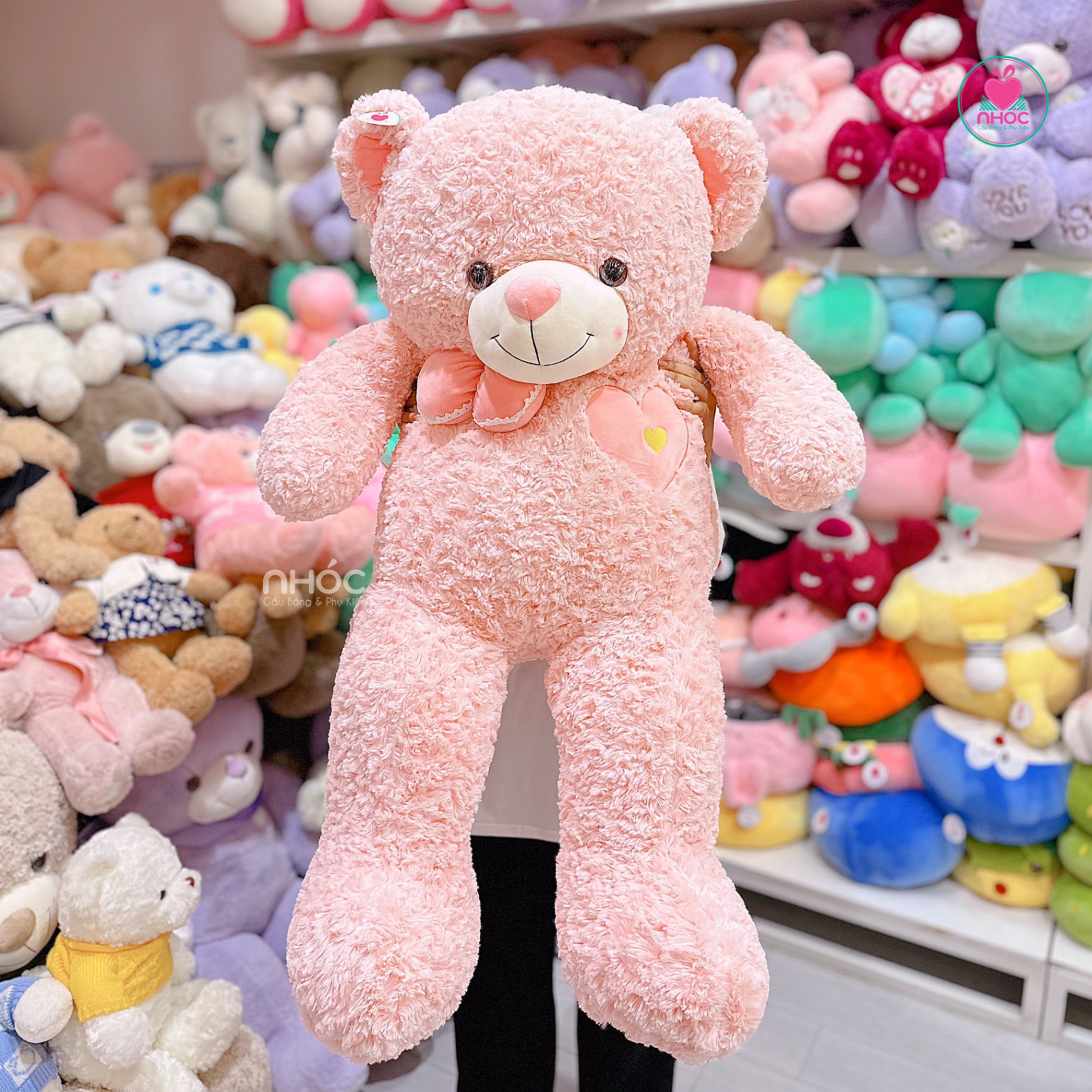 Gấu teddy lông xoắn cổ đeo nơ