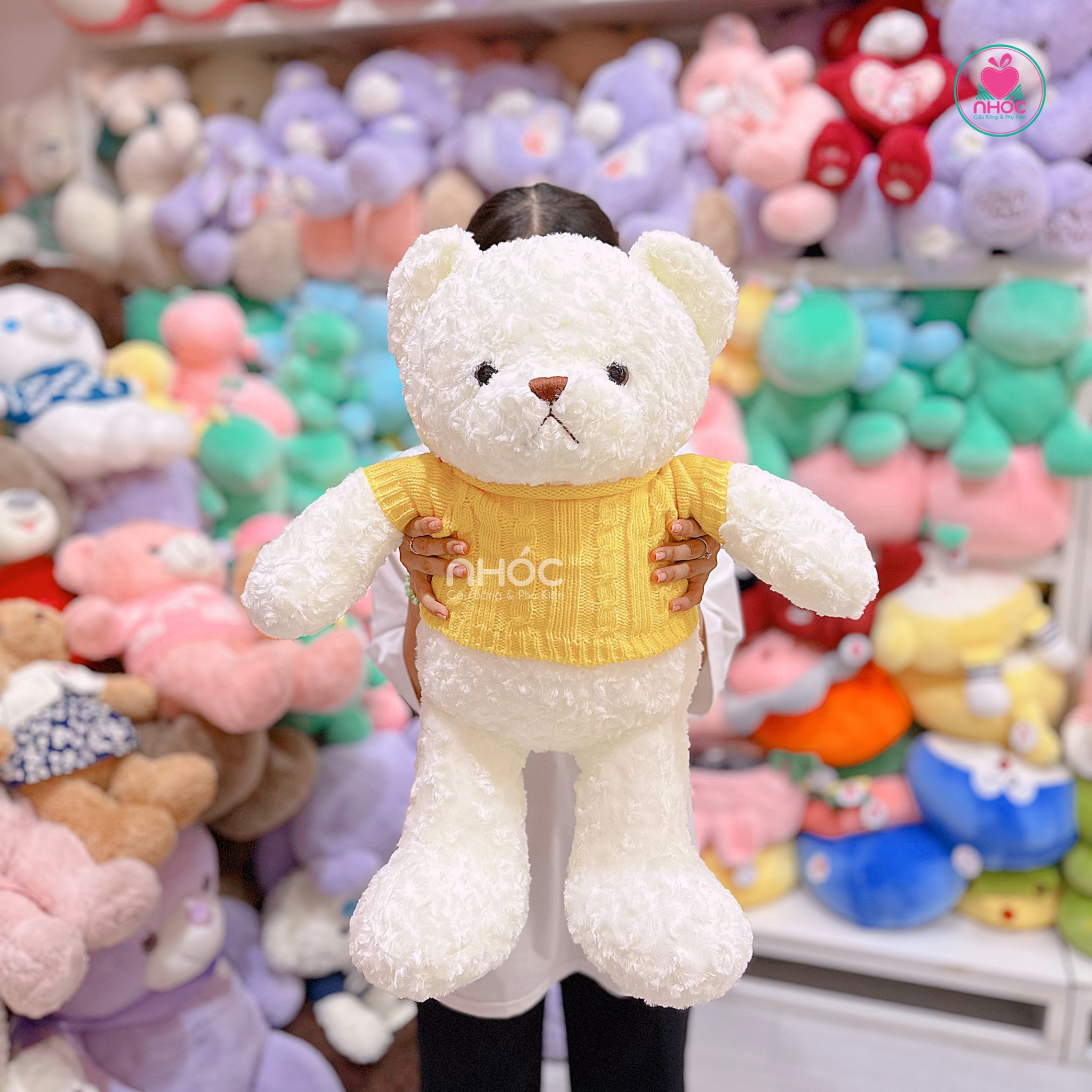 Gấu teddy áo len màu lông xoắn