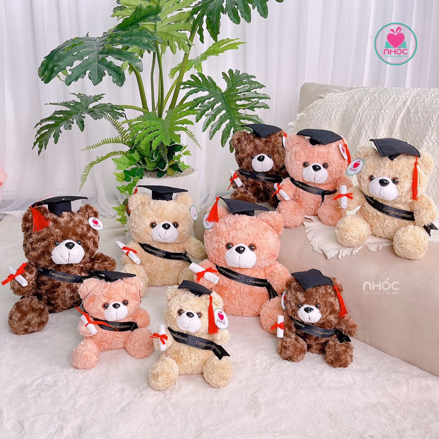 Gấu tốt nghiệp teddy đeo ruy băng TC