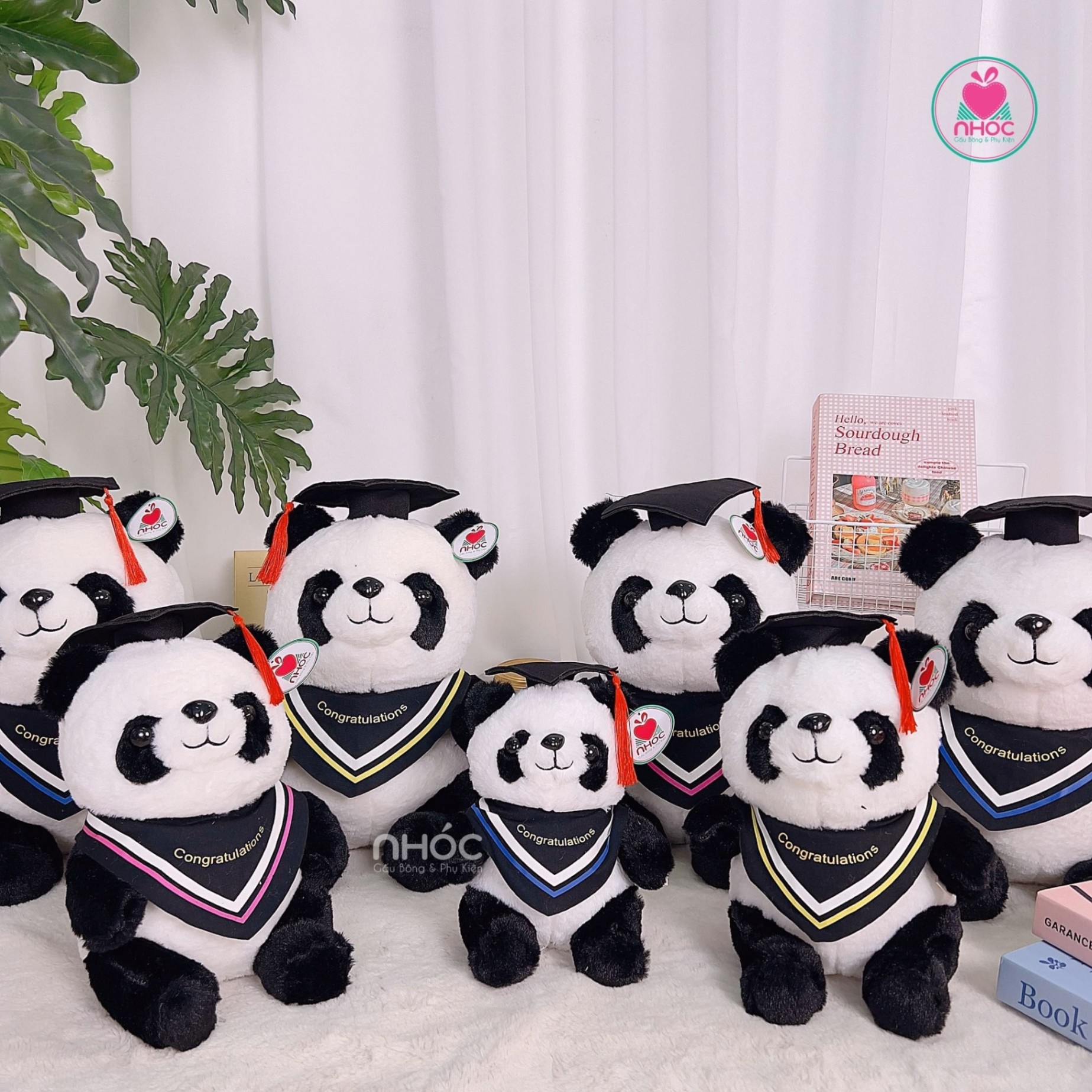 Gấu tốt nghiệp Panda choàng khăn TC