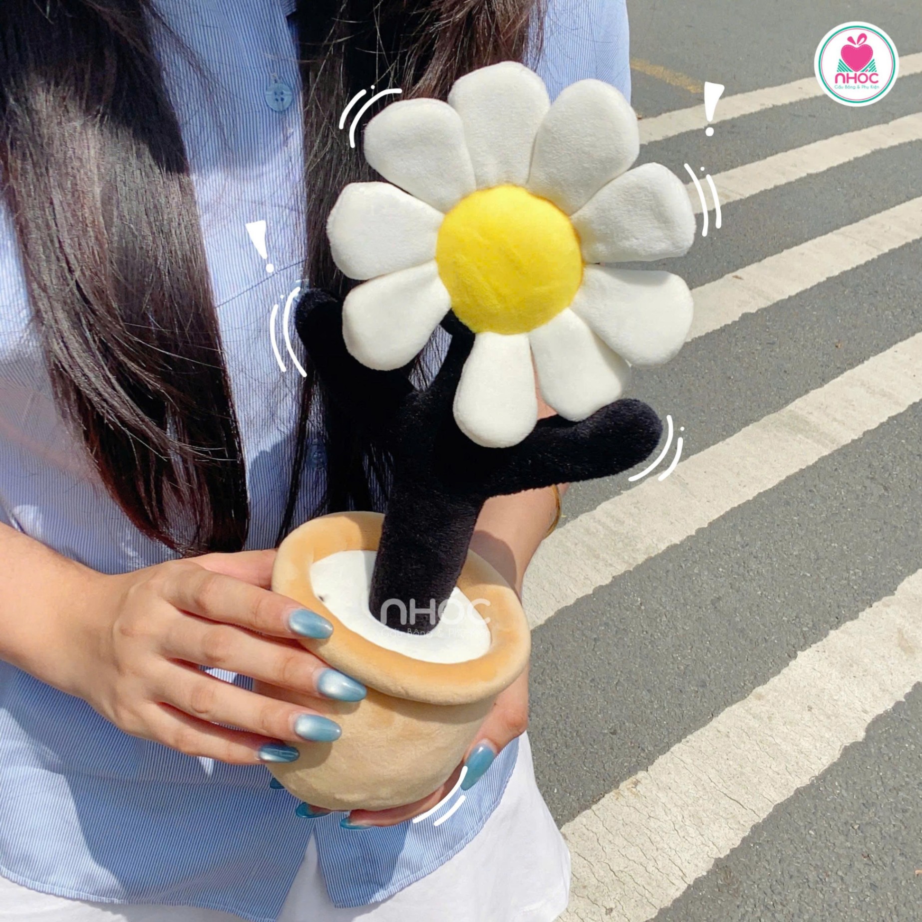 Hoa Cúc bông lighstick 9 cánh TC
