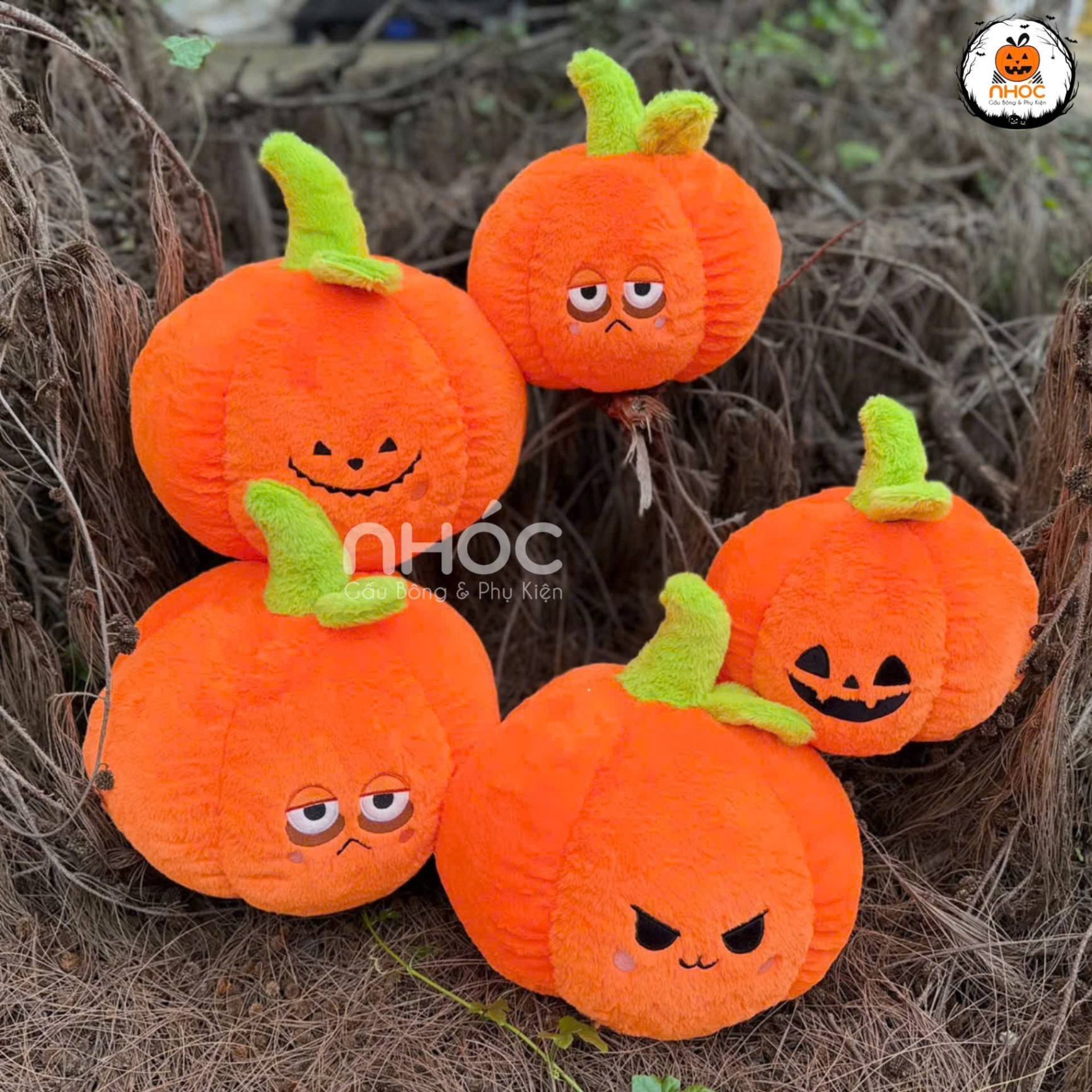 Bí ngô bông Halloween lông xù TC