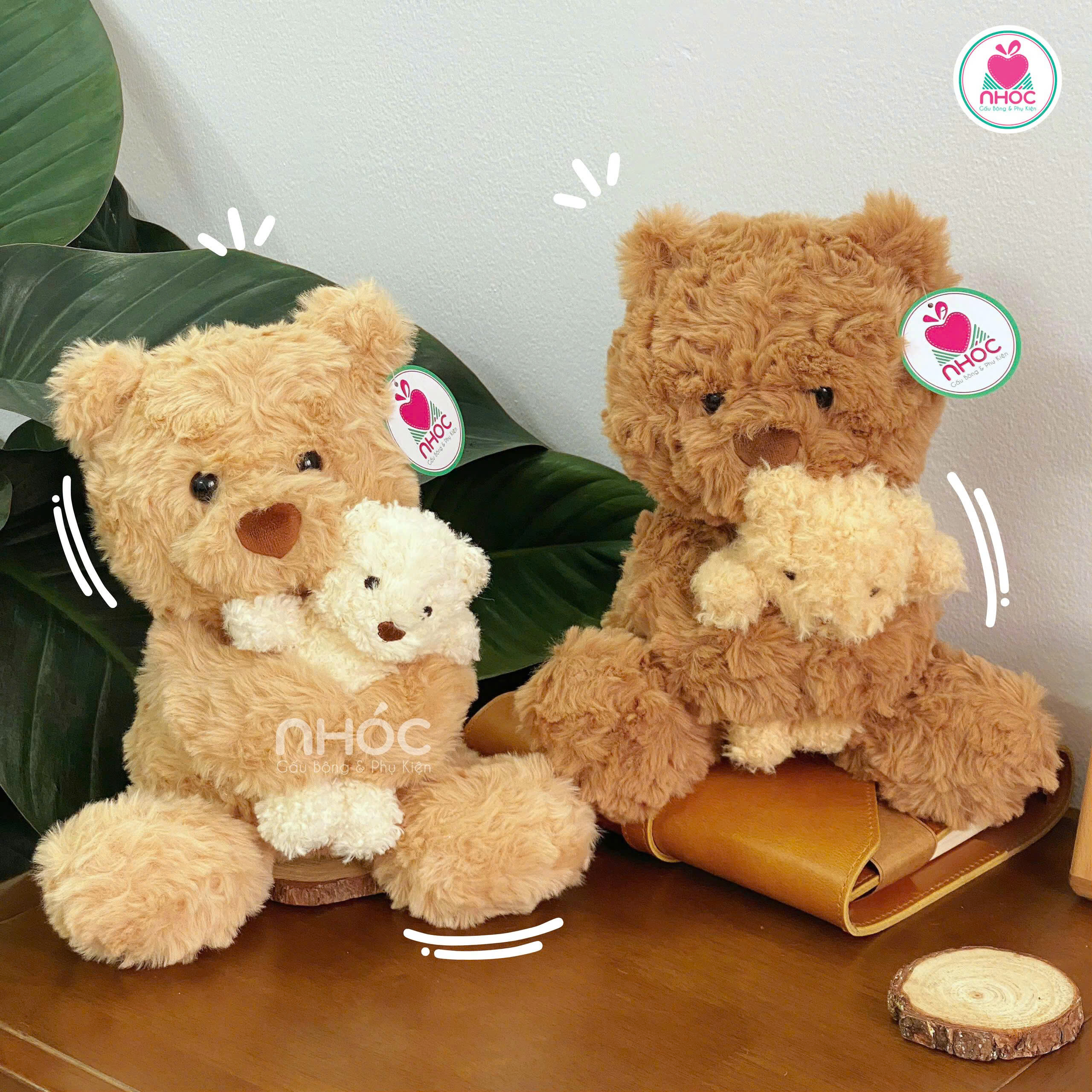 Gấu teddy ôm gấu lông xoắn ngồi