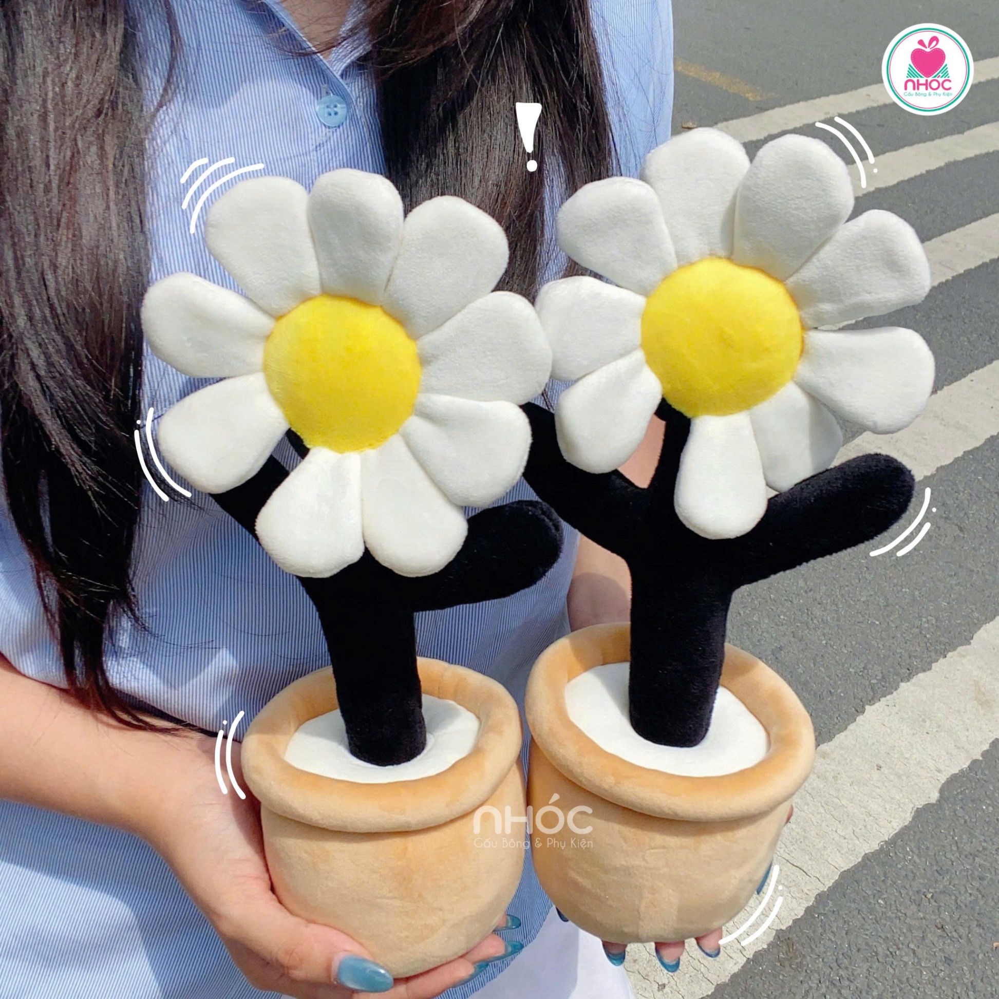 Hoa Cúc bông lighstick 9 cánh TC
