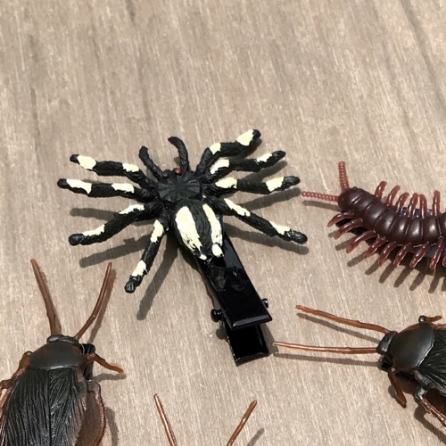 Kẹp tóc Bọ