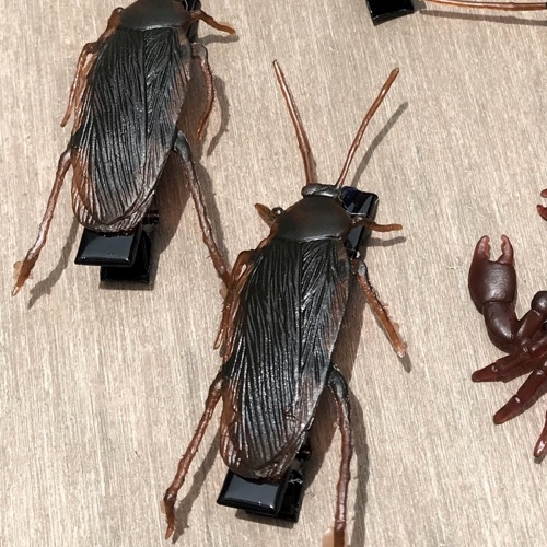 Kẹp tóc Bọ