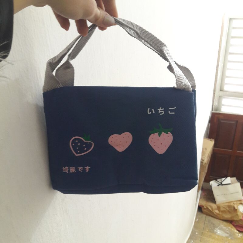 Túi giữ nhiệt dáng ngang Trái cây