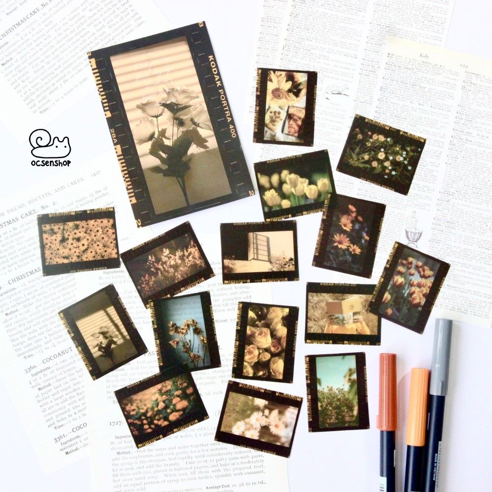 Sticker gói ảnh film