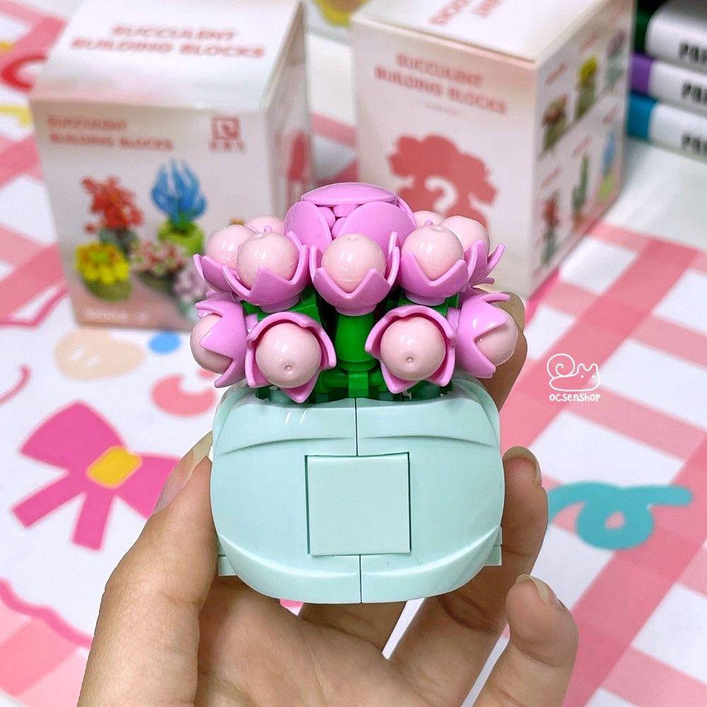 Bộ xếp hình Blind Box Xương rồng