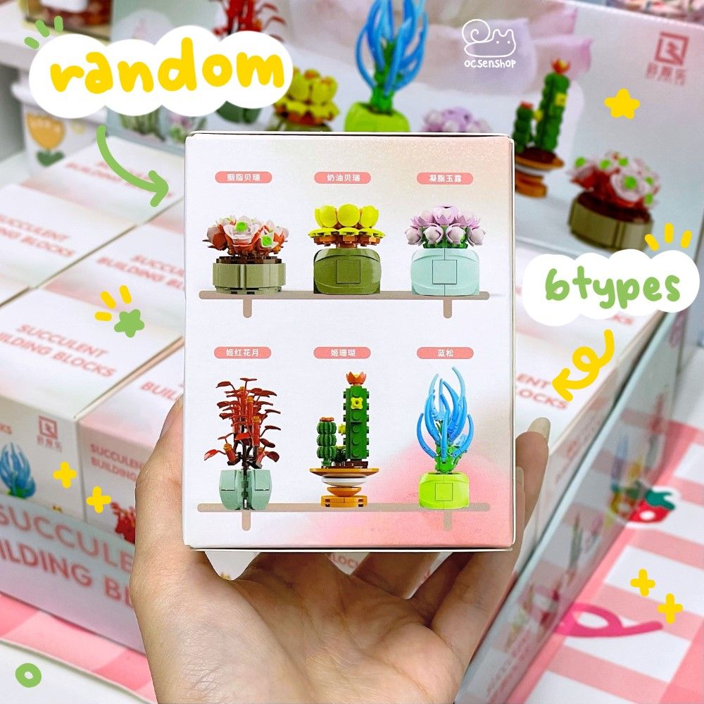 Bộ xếp hình Blind Box Xương rồng