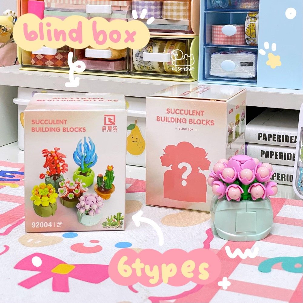 Bộ xếp hình Blind Box Xương rồng