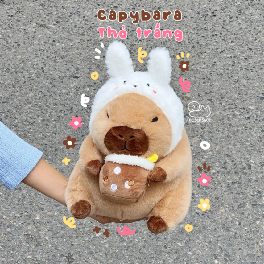 Capybara bông cosplay