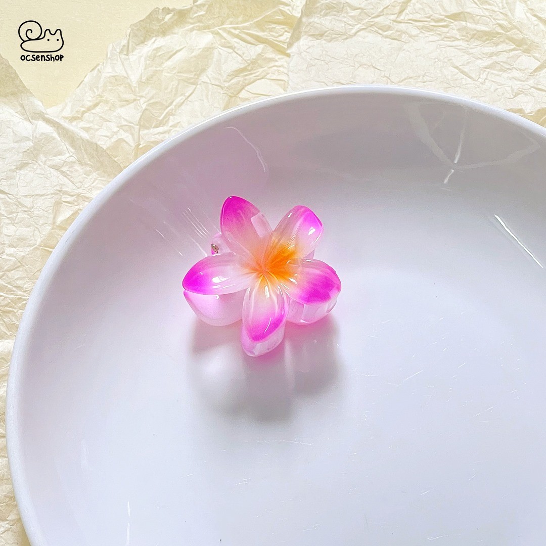 Kẹp càng cua hoa sứ (4cm)