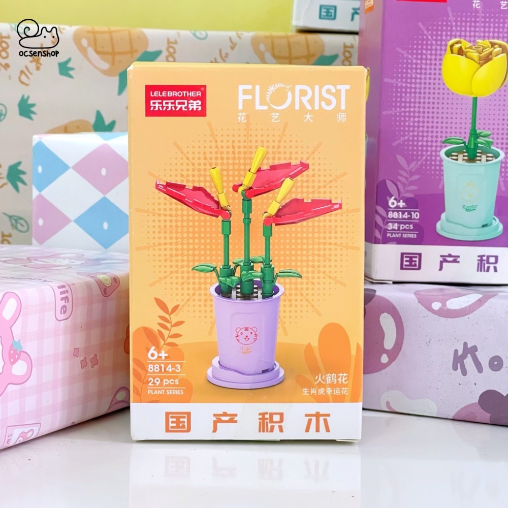 Bộ xếp hình Florist