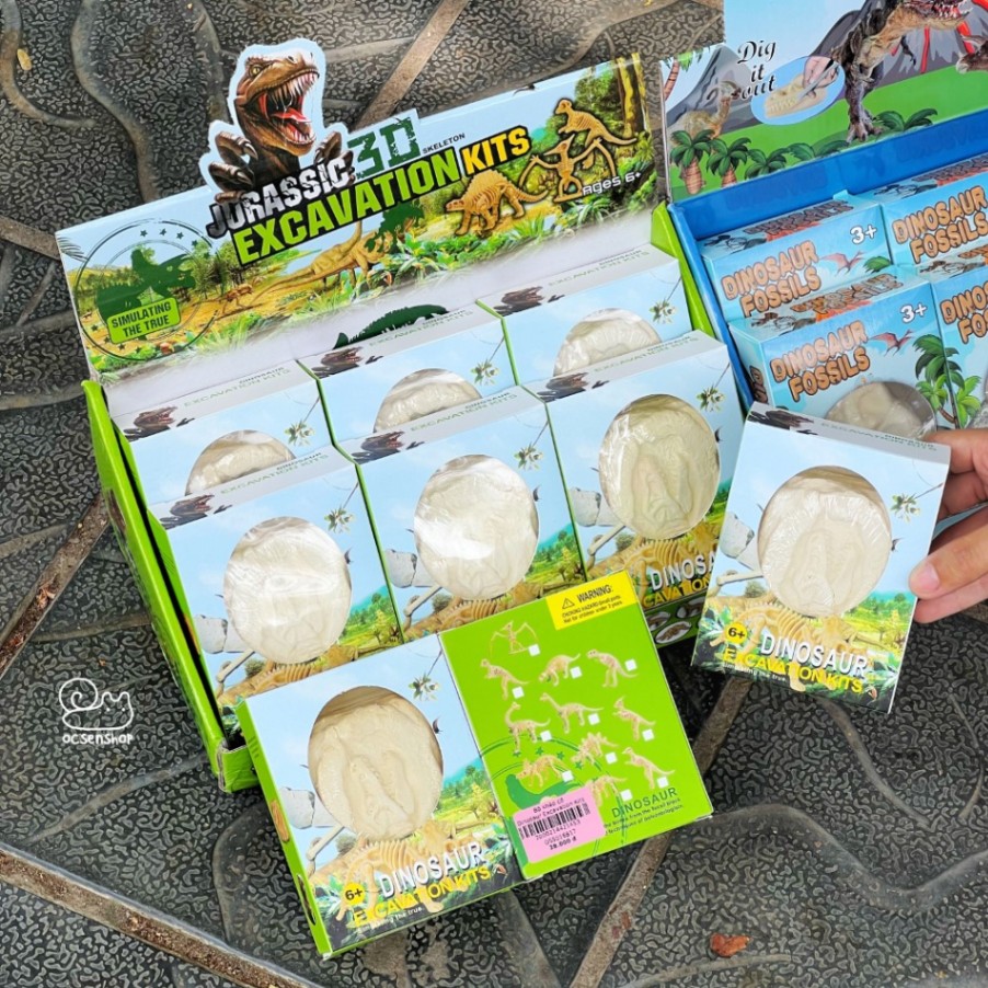 Bo khao co Dinosaur Excavation Kits