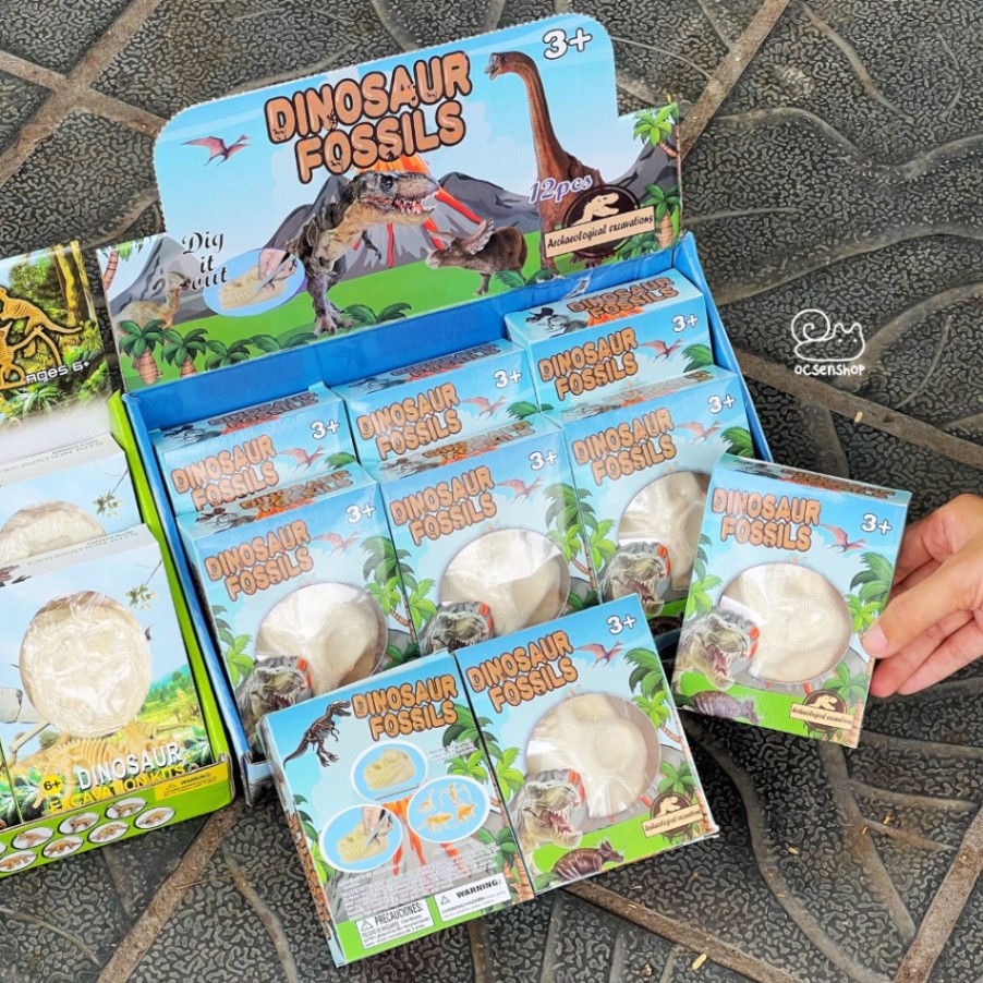 Bộ khảo cổ Dinosaur Excavation Kits