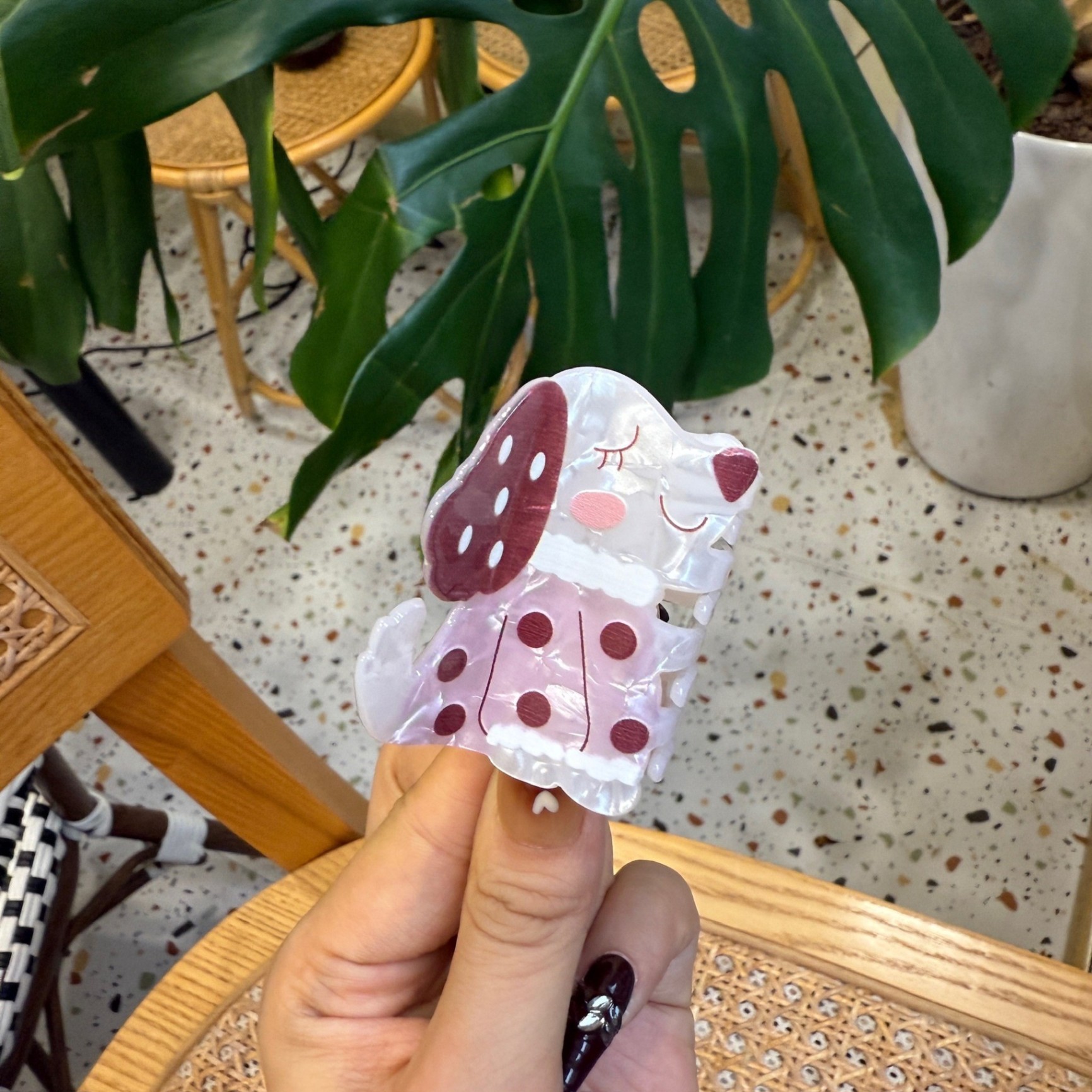 Kẹp càng cua xà cừ Động vật