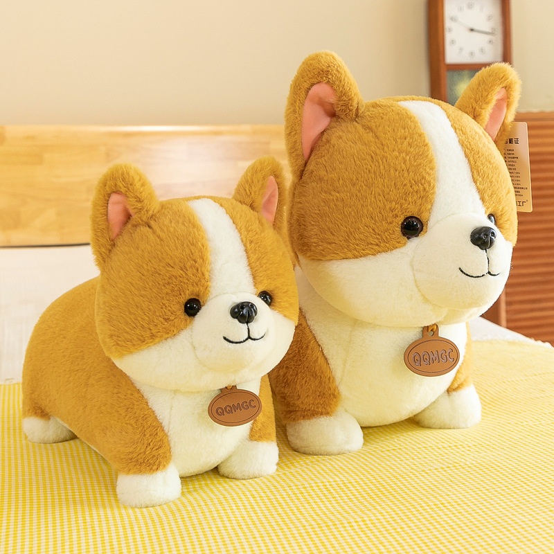 Corgi bông tai hồng