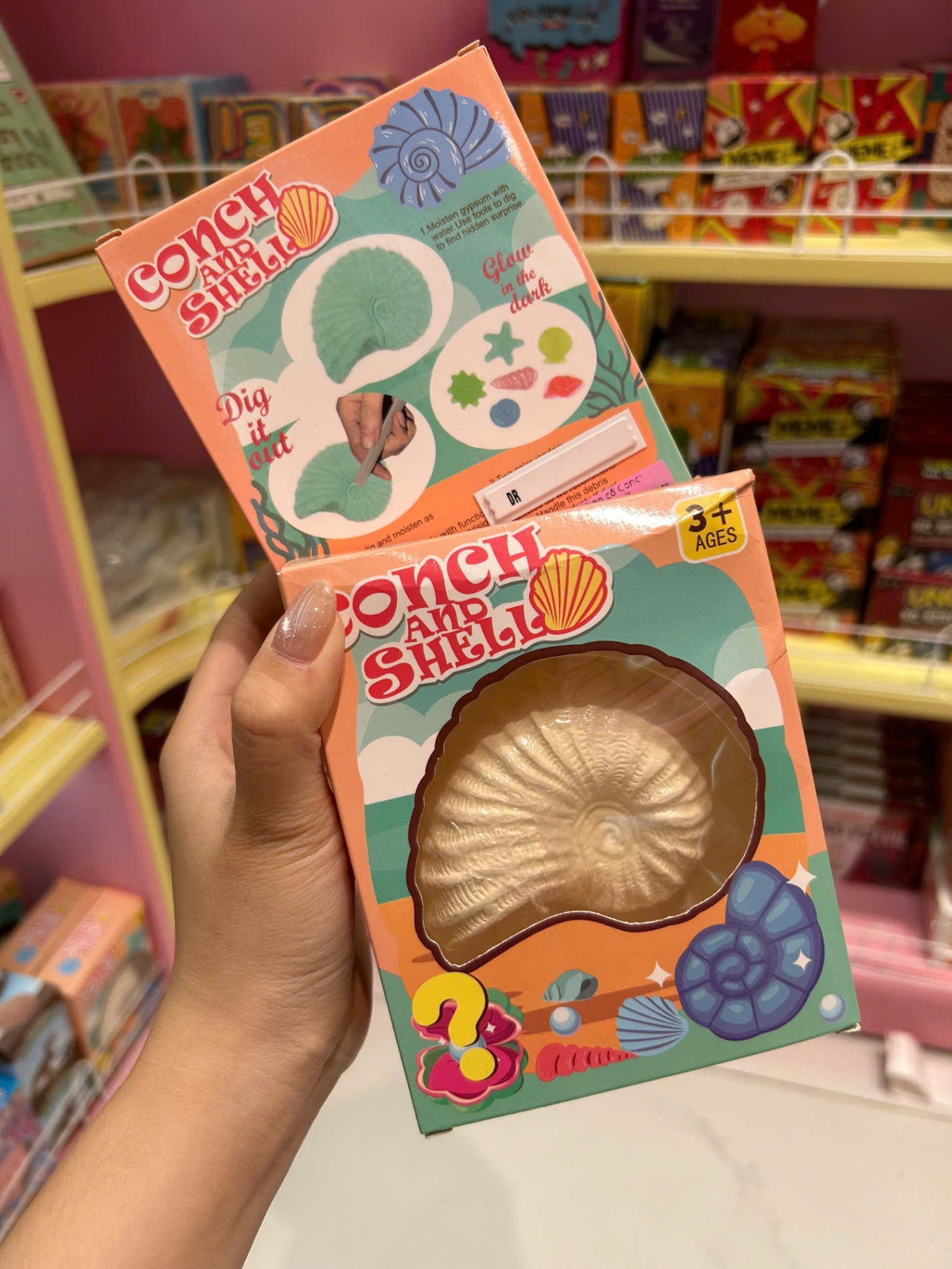Bộ khảo cổ Conch and Shell