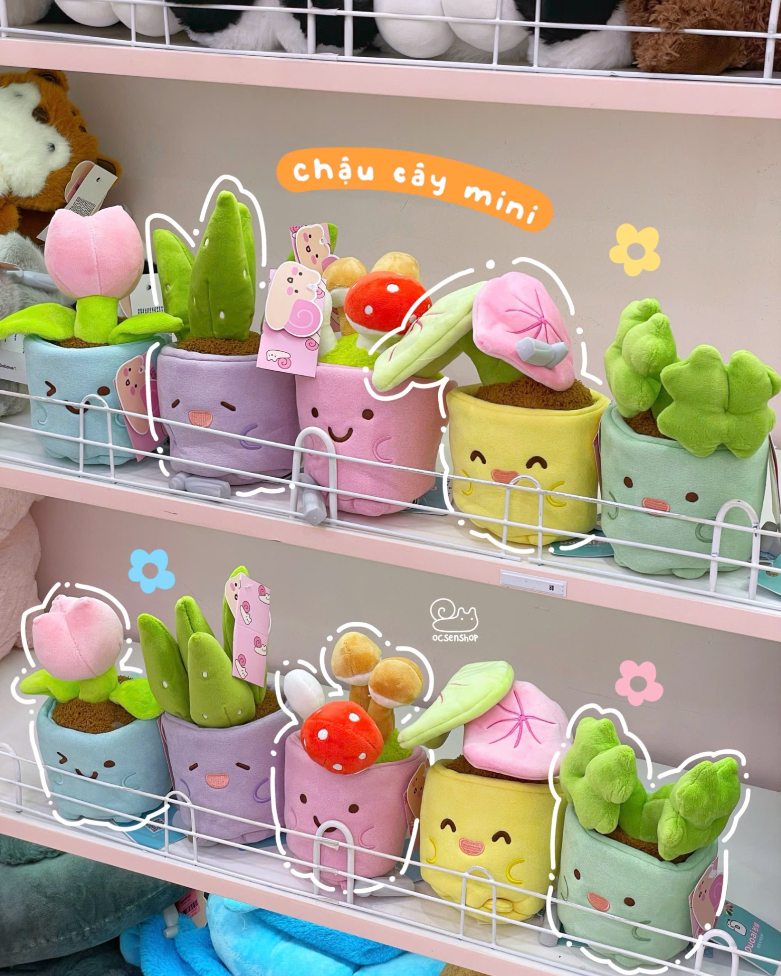 Chau cay bong (19cm)