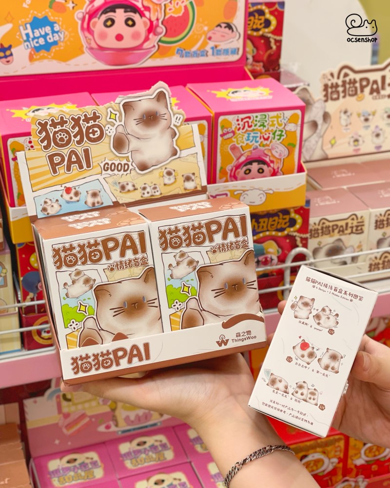 Blind box Mèo Pai (4)