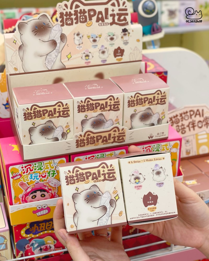 Blind box Mèo Pai (6)